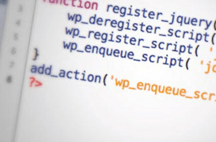 Wordpress function